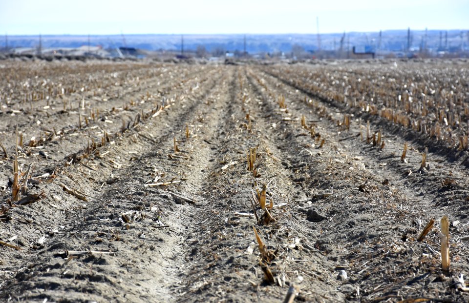 conservationtillage25