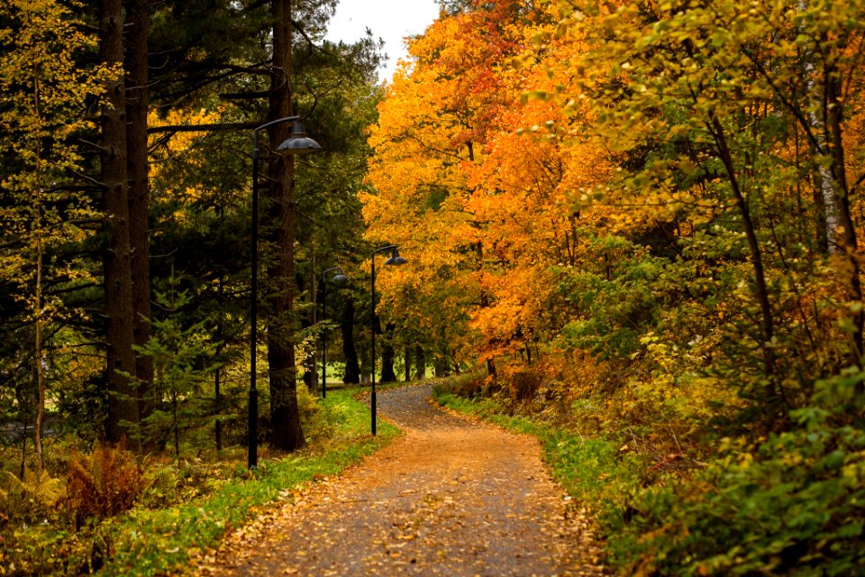 Aulanko, Hämeenlinna, Finland.