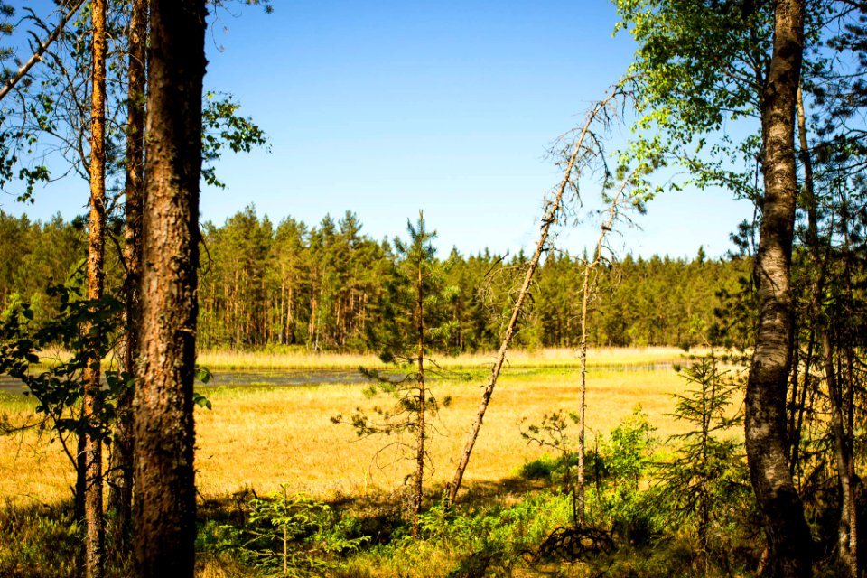 Korteniemen perinnetila, Tammela photo