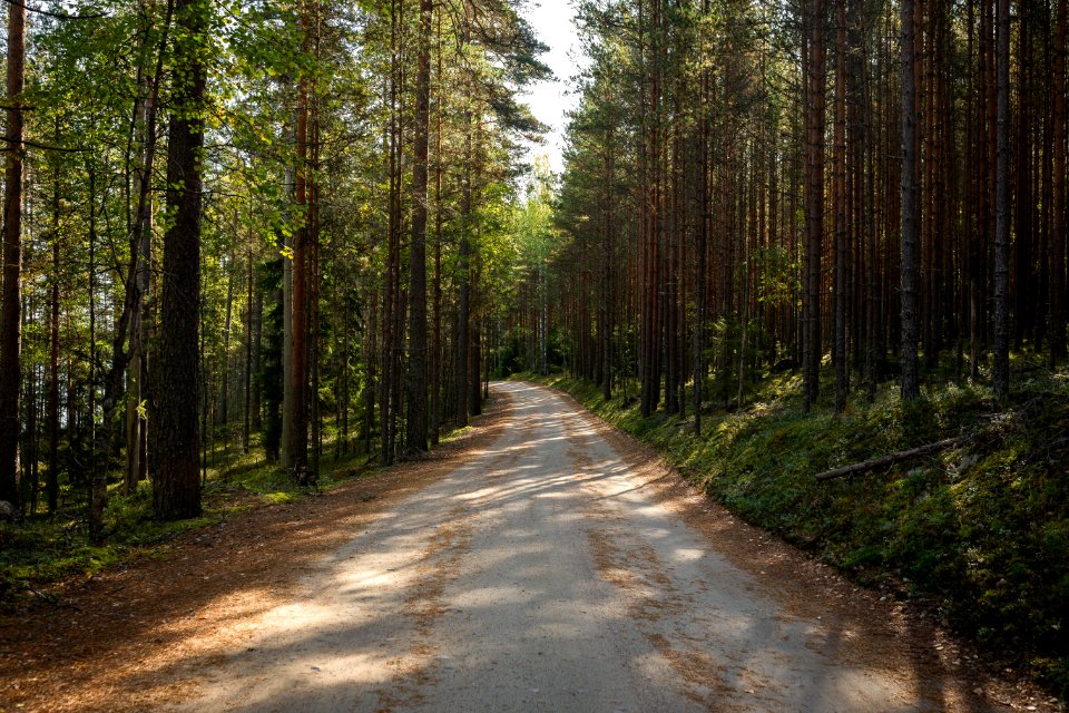 Poronpolku, Loppi, Finland