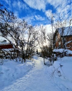 Rautatienpuisto