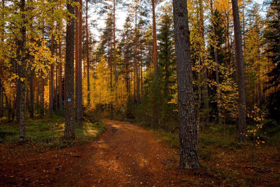 Loppi, Finland