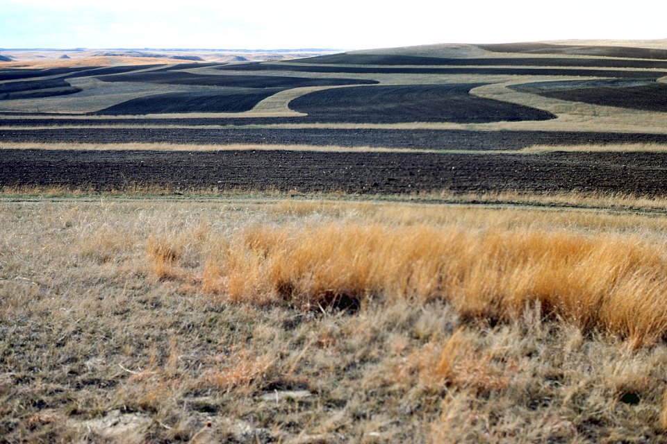 Contour Farming02.tif