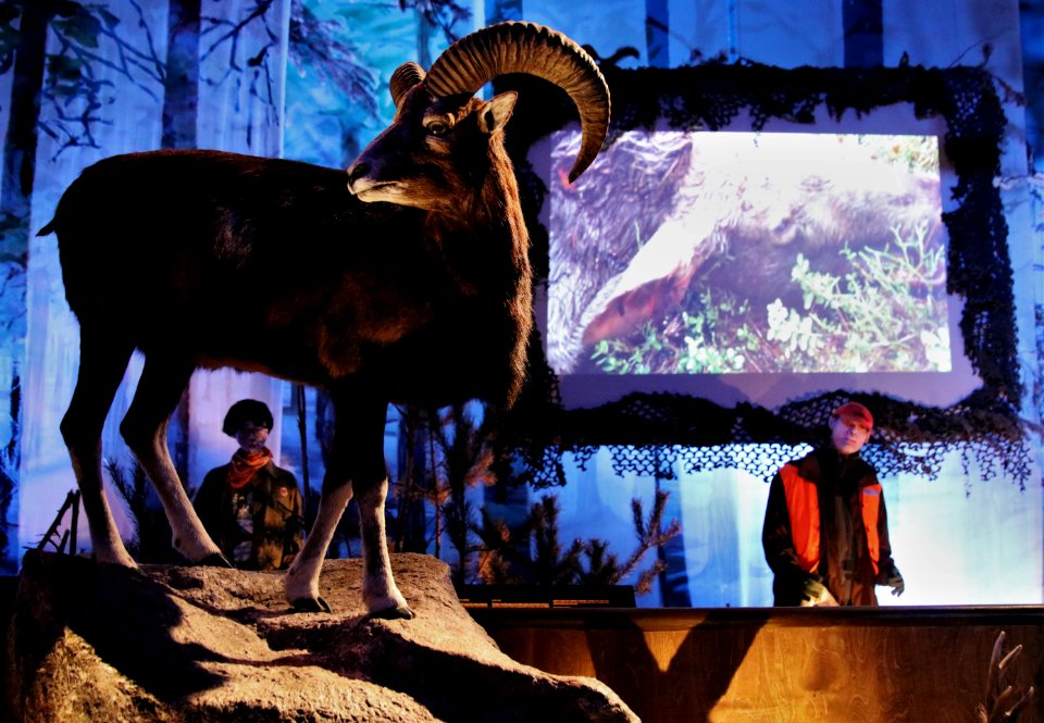 Suomen Metsästysmuseo
