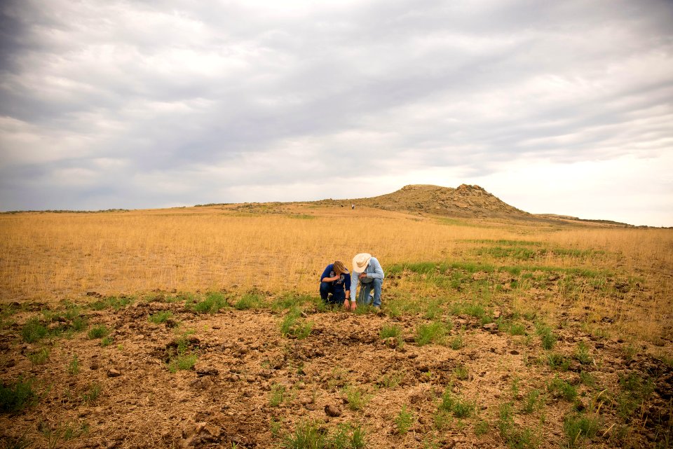 5655 NRCS projects.jpg