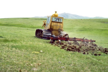 Rangeland21.tif