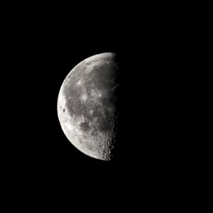 Good morning moon!