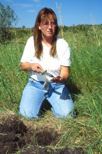 Soil Survey74.tif photo