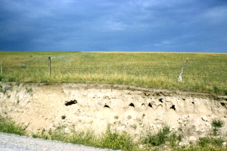 Soil Survey87.tif photo