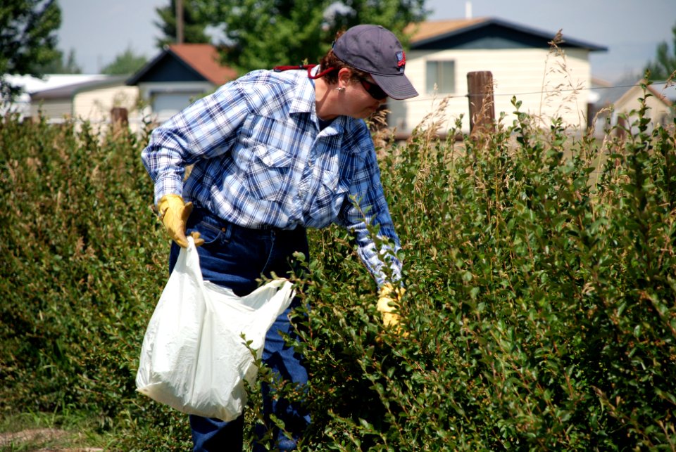 Landscaping14