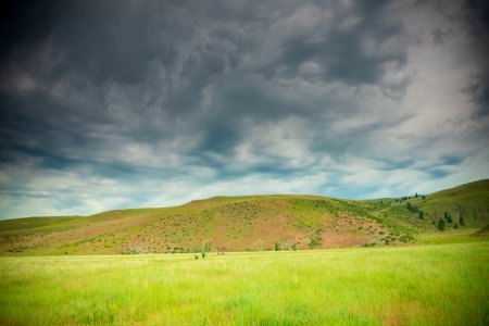 2371 NRCS projects.jpg