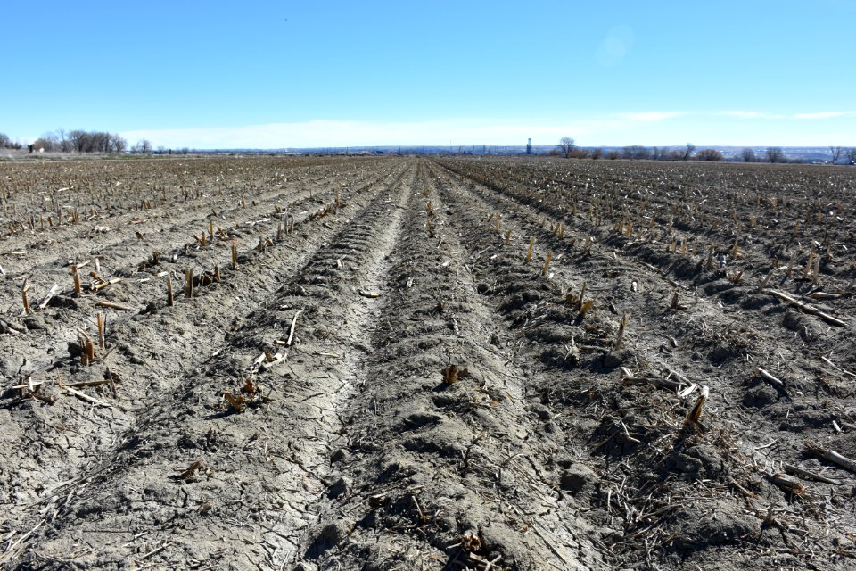 conservationtillage23