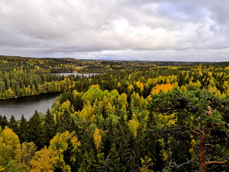 Aulanko, Hämeenlinna