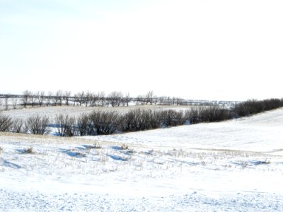Windbreaks45