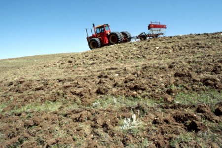 Rangeland13.tif photo