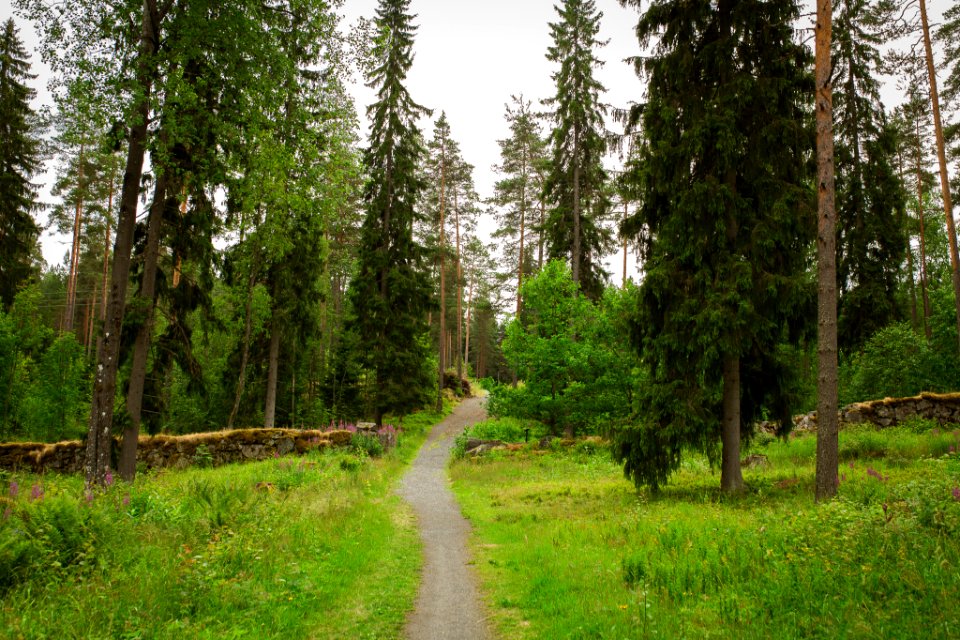 Aulanko, Hämeenlinna, Finland