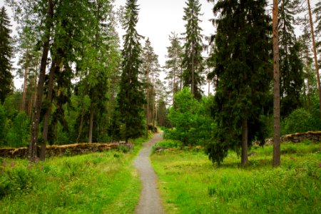 Aulanko, Hämeenlinna, Finland