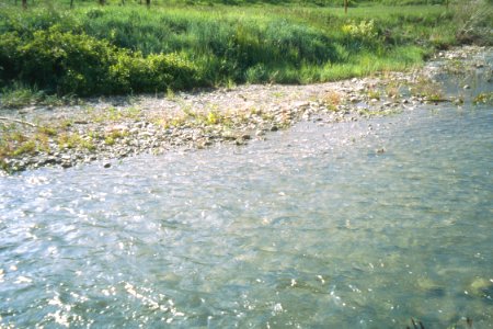Stream Habitat05.tif