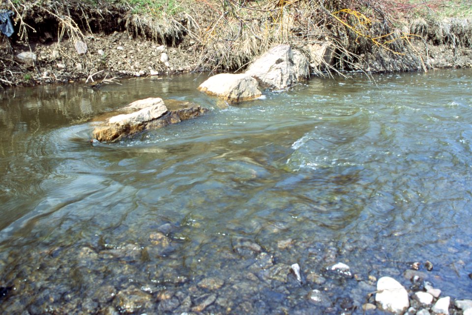 Riparian44.tif