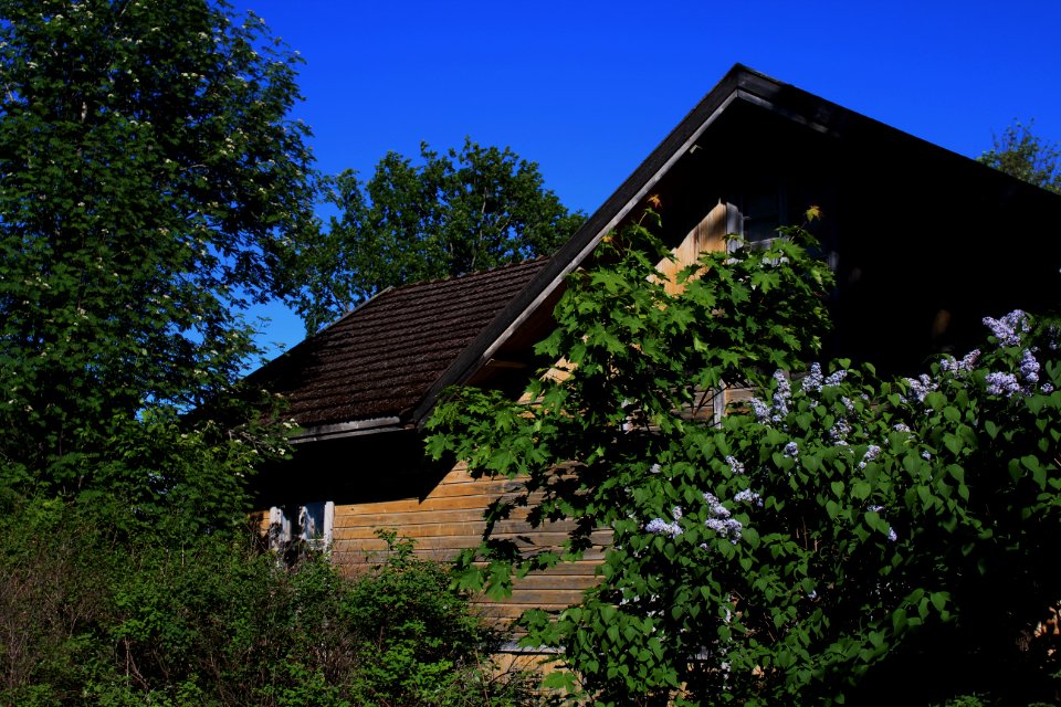 Renko, Hämeen Härkätie, Finland
