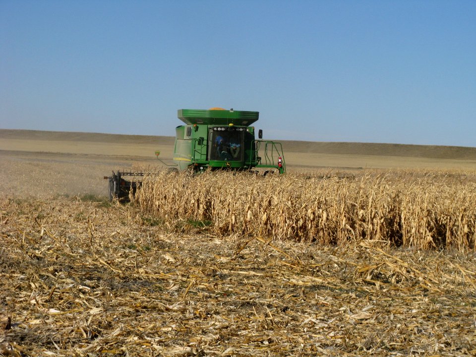 Harvest19