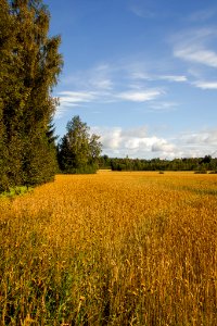 Härkätie, Finland photo