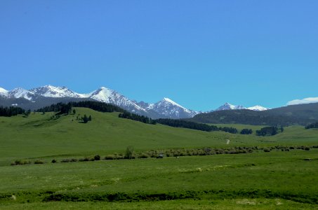 Scenic NR 37