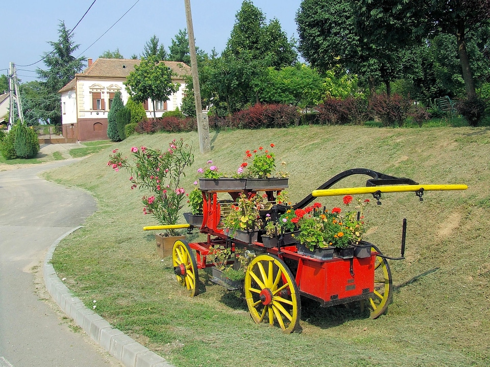 Cart wagon grass
