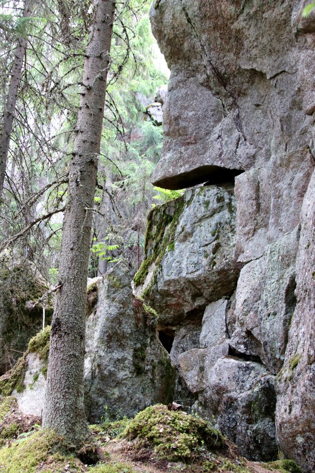 Unikonlinnan linnavuori, Janakkala