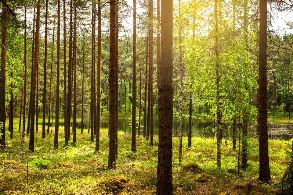 Iso-Melkutin, Loppi, Finland
