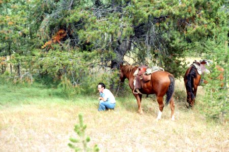 Rangeland106.tif