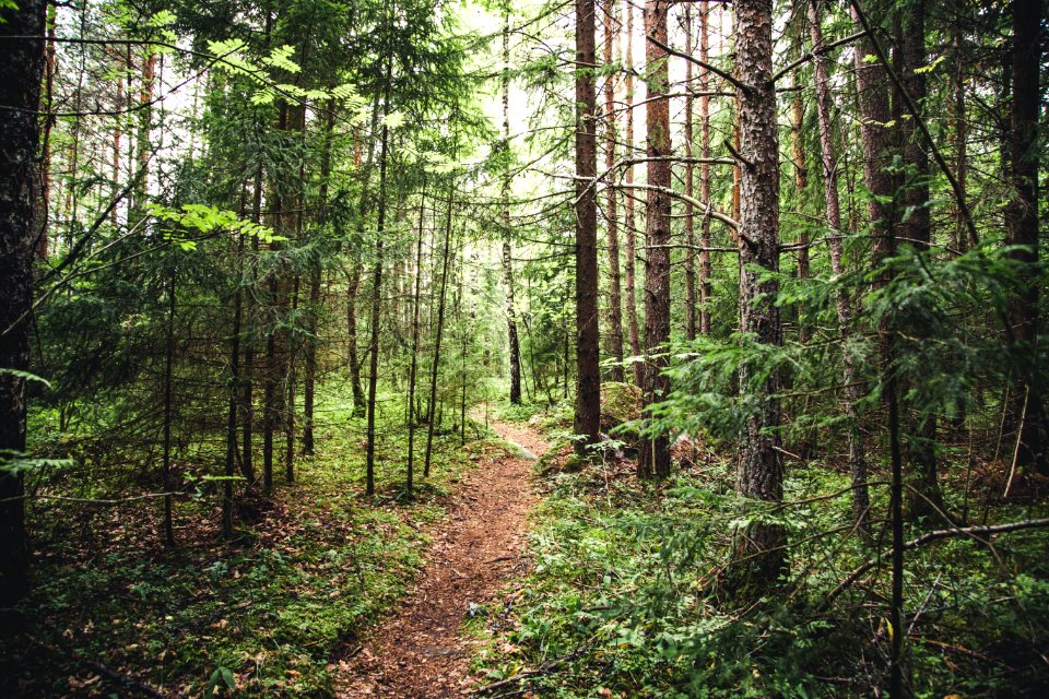 Aulanko, Hämeenlinna, Finland.