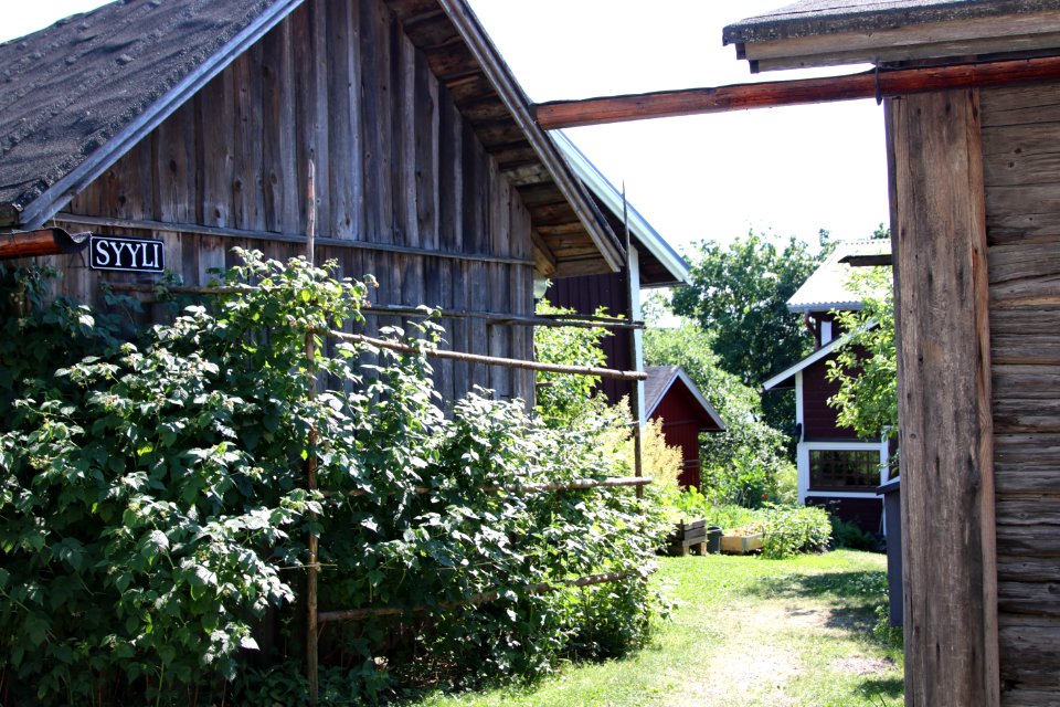 Hauhon wanha raitti, Hämeenlinna