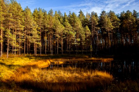 Iso-Melkutin, Loppi, Finland.