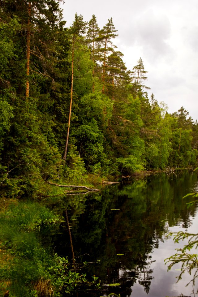 Evo Hiking Area, Hämeenlinna, Finland