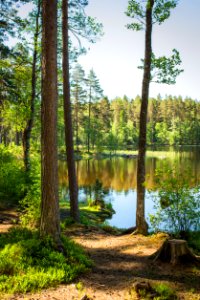 Eerikkilä, Tammela, Finland photo