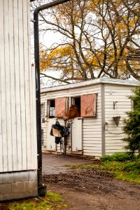 Aulangon Ratsastuskoulu. Aulanko, Hämeenlinna, Finland.