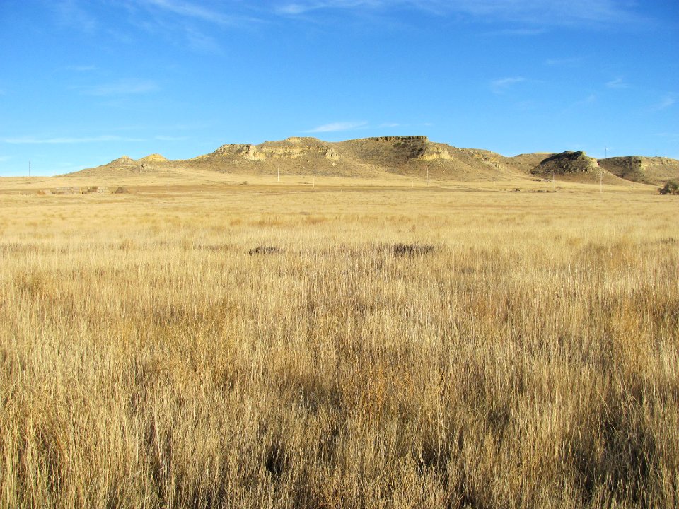 Scenic115