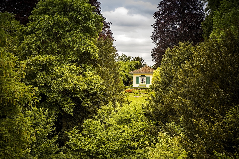 Green trees andelfingen