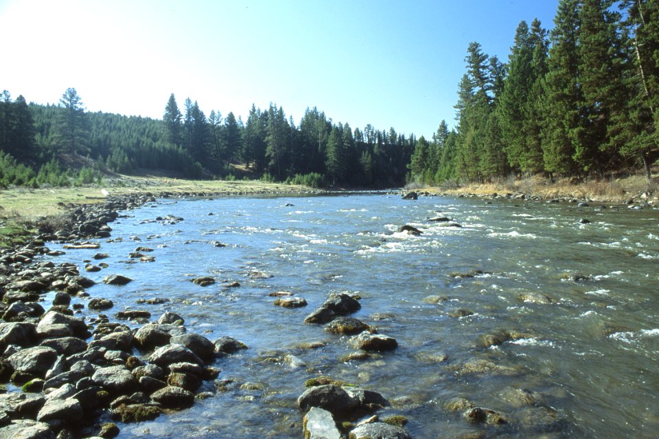 Riparian11.tif