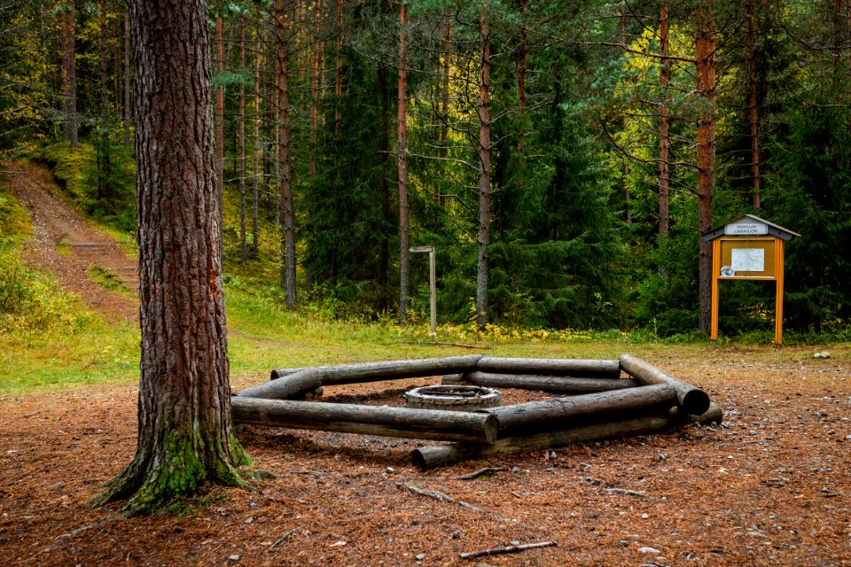 Tenholan linnavuori, Hattula, Finland