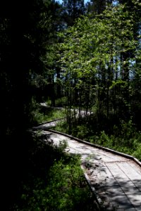 Torronsuon kansallispuisto, Hämeen Härkätie, Finland