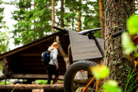 Tammela, Finland