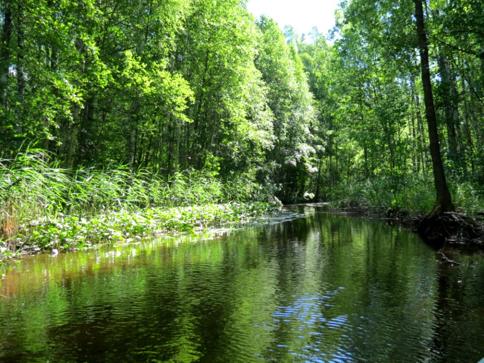 Kaartjoki, Finland