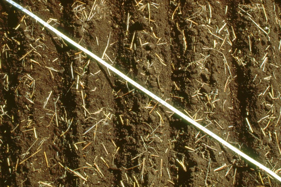 Crop Residue Management25.tif