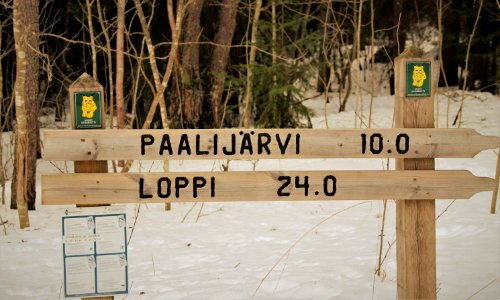Riihimäen Riutta