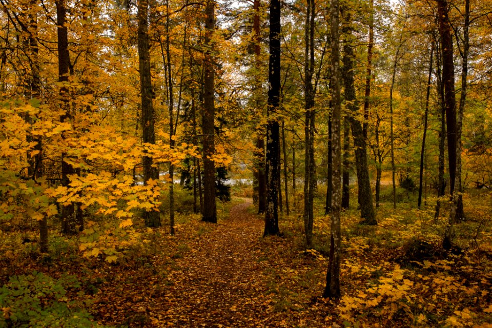 Aulanko, Hämeenlinna, Finland.
