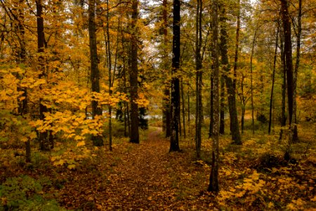 Aulanko, Hämeenlinna, Finland.