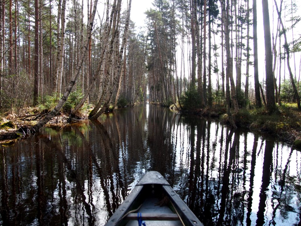 Kaartjoki, Finland