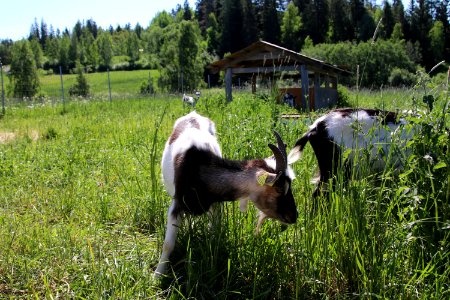 Elonkierto Jokioinen photo